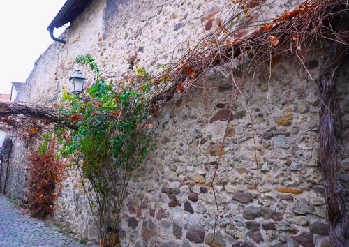 City Wall 8