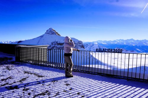 View of the Alps 2