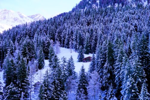 Cabin on Mountainside 