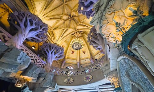 Sleeping Beauty Gallery