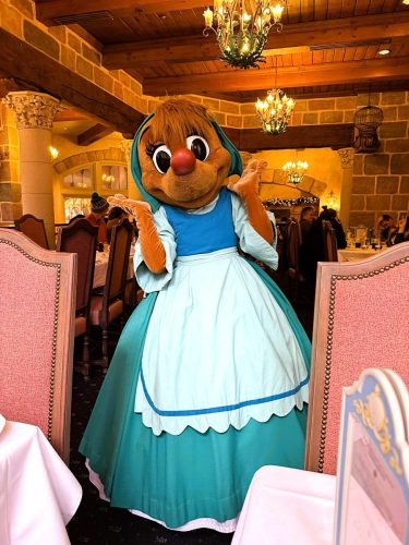 Cinderella Mouse