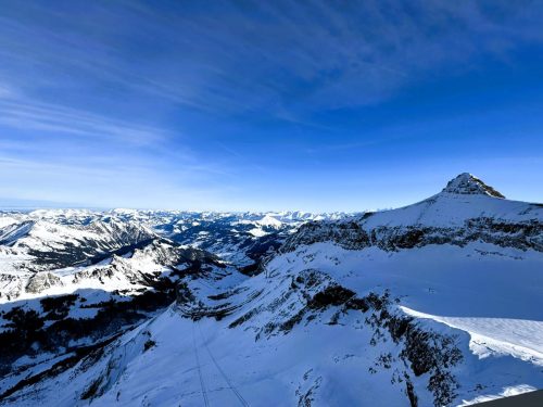View of the Alps 5